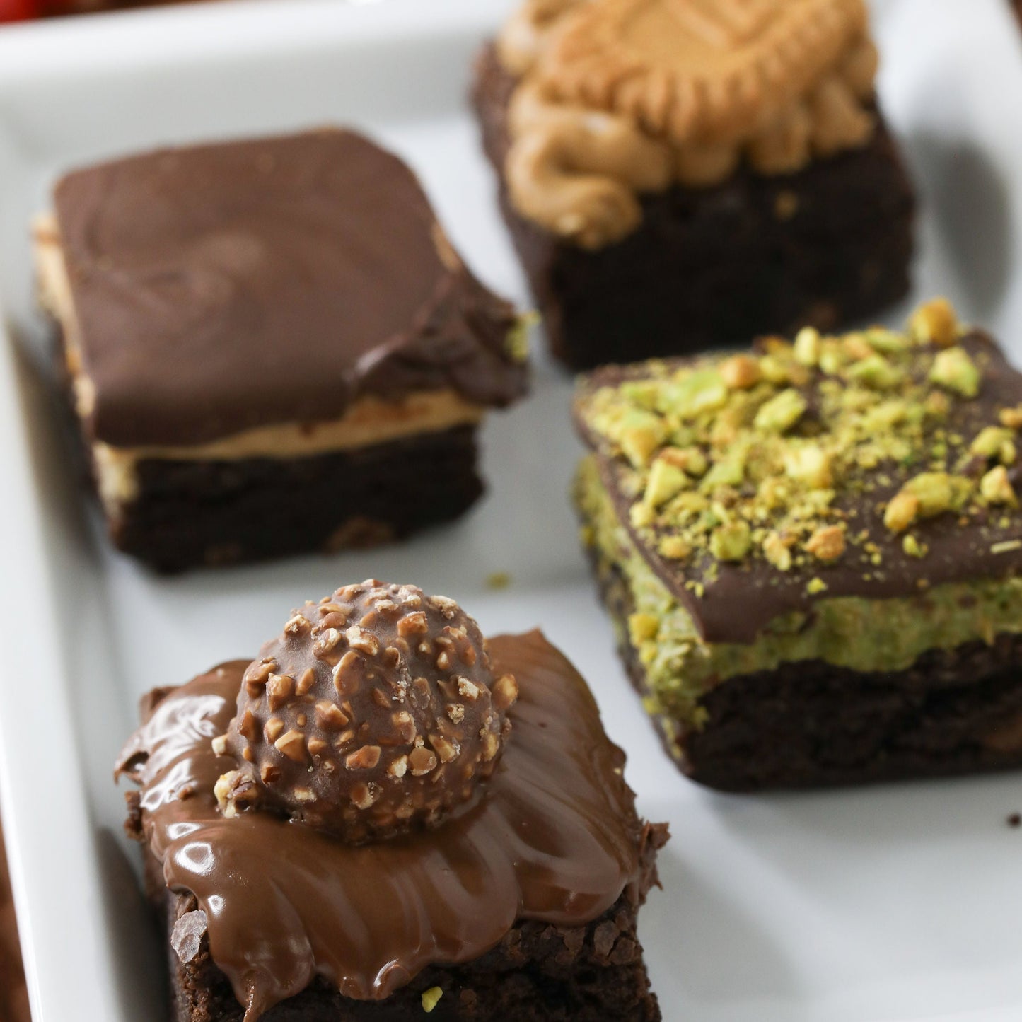 🎄Brownie Flight 🎄